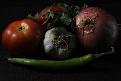 Green chilly, garlic, onion, tomato and curry leaf are isolated on black background. 