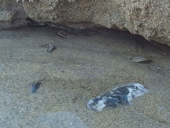 Rocks in sea