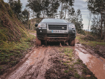 Car on dirt road amidst trees in forest