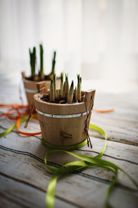 Close-up of tea on table