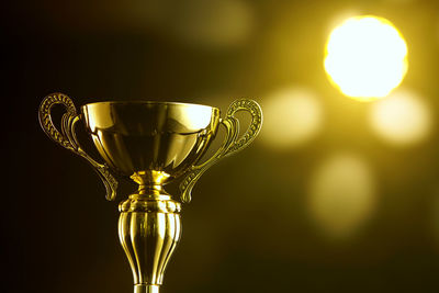 Close-up of trophy against illuminated lights