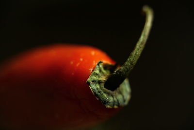 Close-up of red object over black background