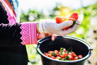 Midsection of woman holding fruits