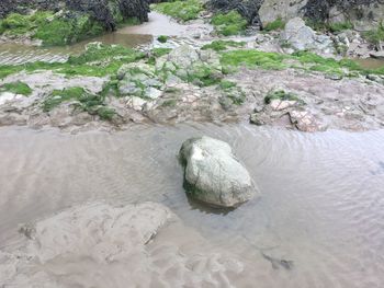 High angle view of rocks in sea