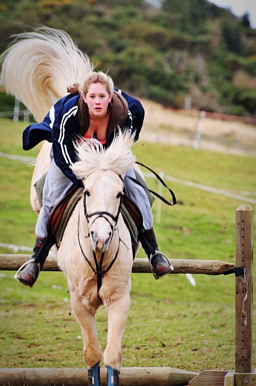 focus on foreground, animal themes, young adult, portrait, person, lifestyles, horse, leisure activity, looking at camera, standing, holding, one animal, field, front view, casual clothing, three quarter length, smiling, outdoors