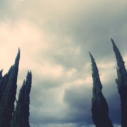Vapor trail against sky
