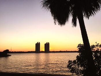 Palm trees at sunset