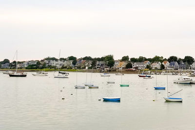 Sailboats moored at harbor against clear sky