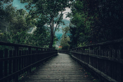 Narrow footbridge along trees in forest