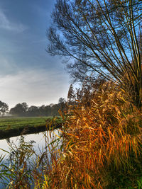 Scenic view of lake against sky