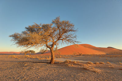 Kolmanskop deserted diamond mine in southern namibia taken in january 2018