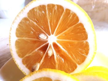 Close-up of lemon slice