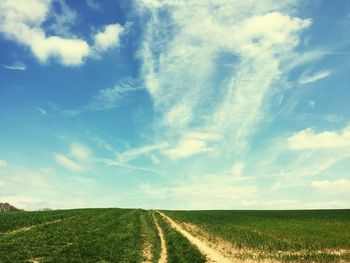 Scenic view of grass landscape against sky