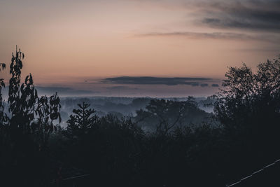 Silhouette trees against sky during sunset