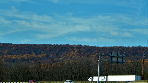 Low angle view of trees against sky