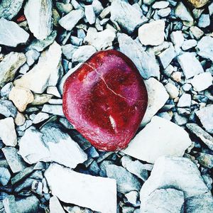 High angle view of strawberry on rock