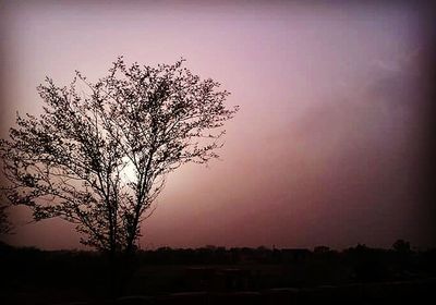 Silhouette tree against sky during sunset