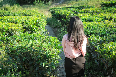 Rear view of woman standing amidst plants