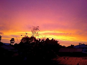 Silhouette plants against sky during sunset