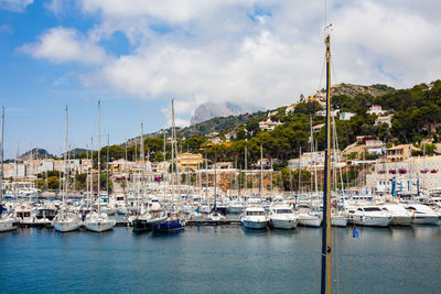 Sailboats moored at harbor