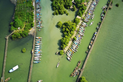 High angle view of plants by river