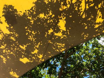 Low angle view of tree against yellow sky