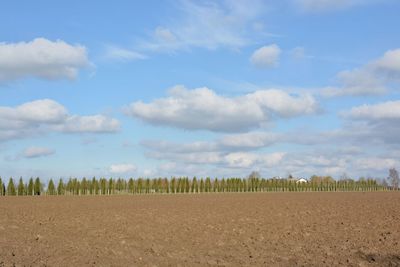 Panoramic view of field against sky