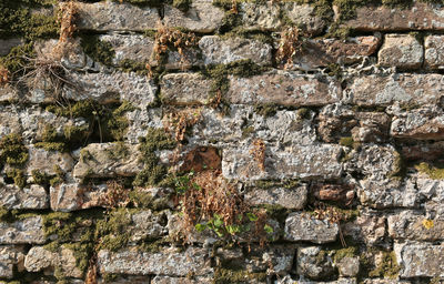 Full frame shot of brick wall