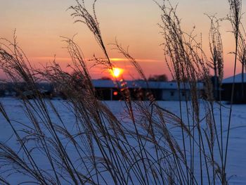 Scenic view of frozen lake against sky during sunset