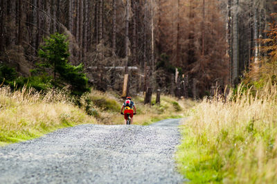 Rear view of man cycling in forest