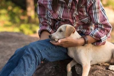 Low section of man holding dog sitting outdoors