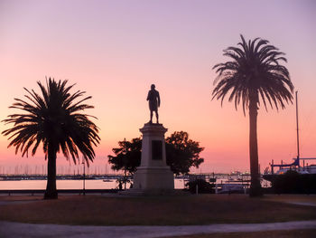 Palm trees at sunset