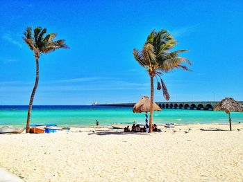 Palm trees on beach