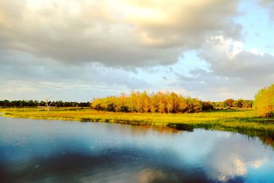 Scenic view of lake by trees against sky