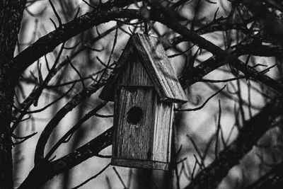 Low angle view of birdhouse hanging on tree