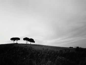 Silhouette horses on field against sky