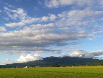 Scenic view of field against sky