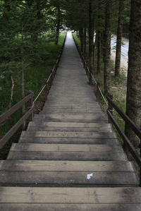 Down stairs admist forest