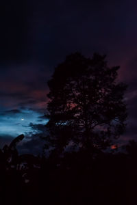 Low angle view of silhouette trees against sky at night