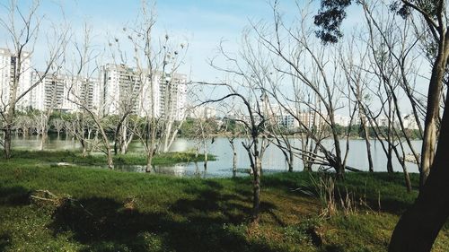 Bare trees on field by lake against sky