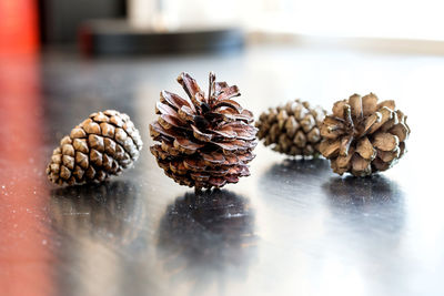 Pine cones on table