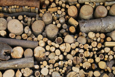 Stack of logs