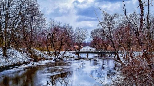 Bare trees on riverbank against sky