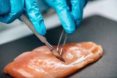 Food quality control of chicken meat. quality control inspector taking poultry sample 