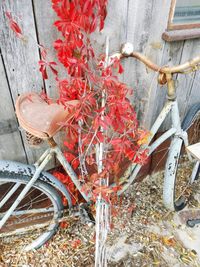 High angle view of red bicycle amidst plants during autumn