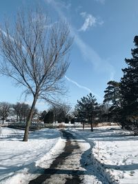 Bare trees on snow covered field against sky