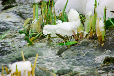 Close-up of water splashing on ice