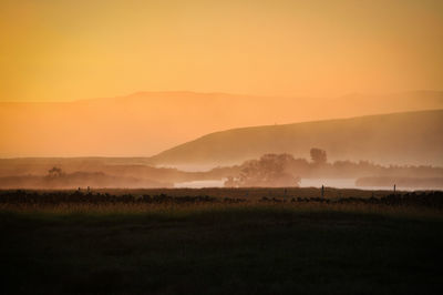 Scenic view of field against sky during sunset