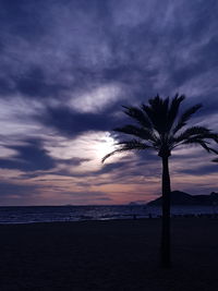 Silhouette palm trees on beach against sky at sunset