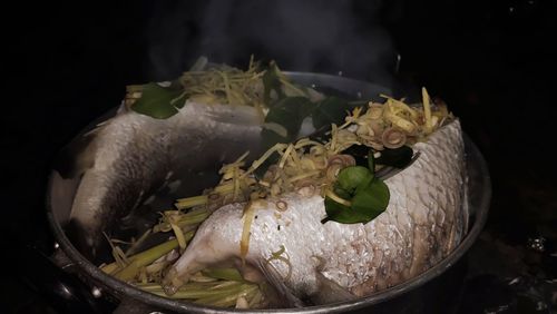 High angle view of fish in container